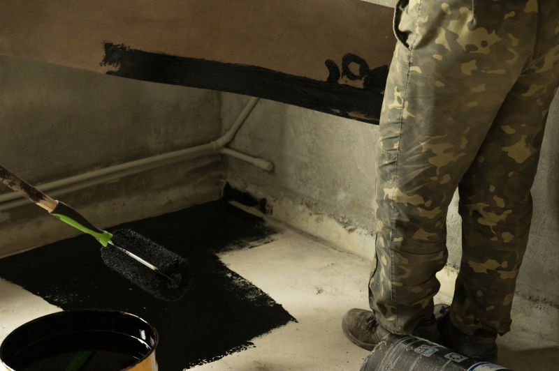 Interior Wall Waterproof Coating